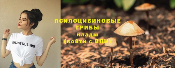 стаф Вяземский