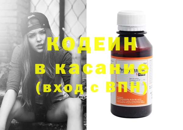 стаф Вяземский