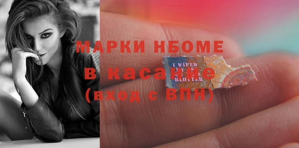 стаф Вяземский