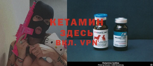 стаф Вяземский