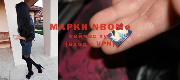 стаф Вяземский