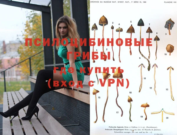 стаф Вяземский