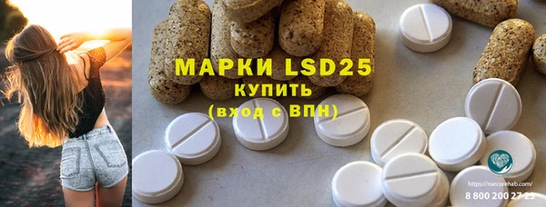 ГАЛЛЮЦИНОГЕННЫЕ ГРИБЫ Горняк