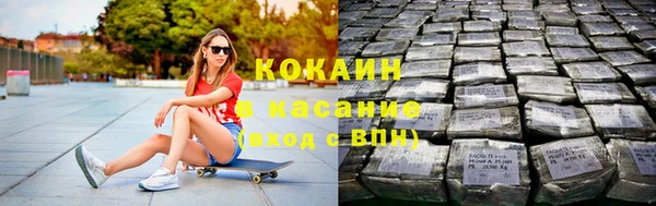 стаф Вяземский