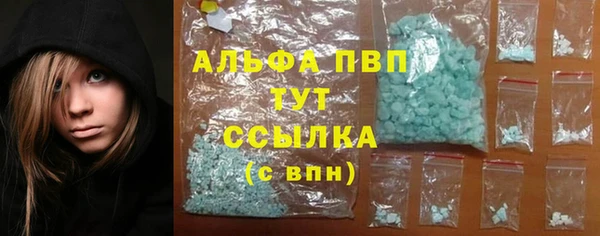 стаф Вяземский