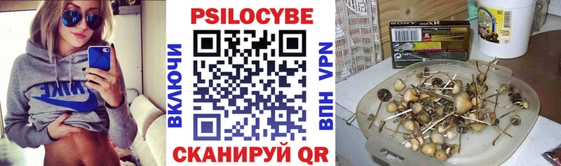 darknet Telegram  мега ссылки  Темников  Псилоцибиновые грибы мицелий 