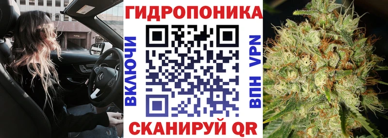Канабис планчик  Темников 